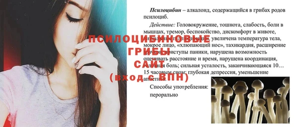 ECSTASY Алексин