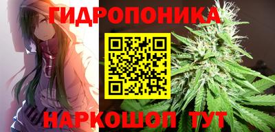 скорость Вышний Волочёк